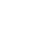 New Fortress